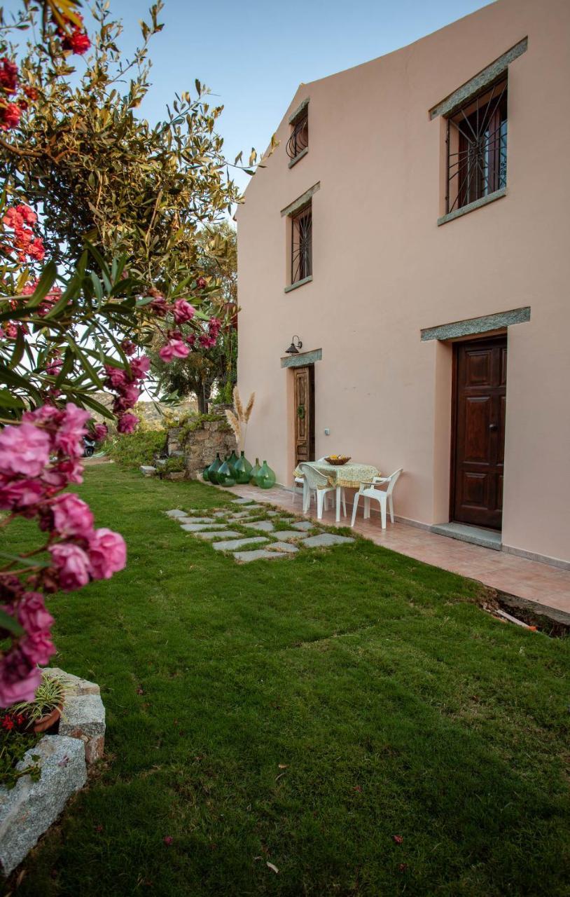 Villa Peditoltu ออลเบีย ภายนอก รูปภาพ